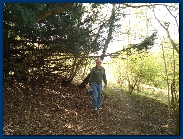 600x449 pixels (202K)